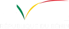 e-visa